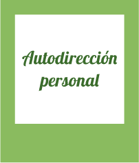 iconos-fases-web-autodireccion-personal